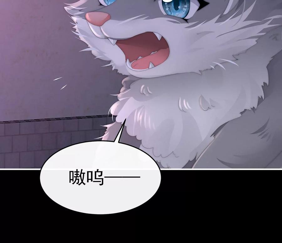 20白嫖一只狼崽-妻主，请享用-拂晓联盟 & 胡桃文化（第6张）