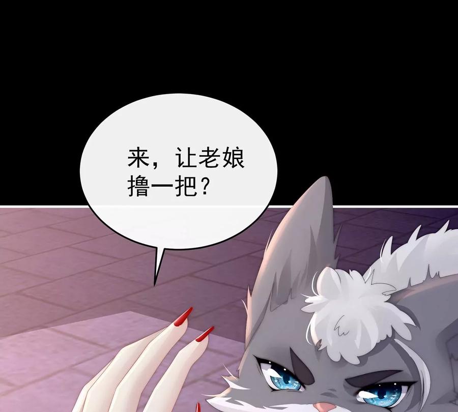 20白嫖一只狼崽-妻主，请享用-拂晓联盟 & 胡桃文化（第10张）
