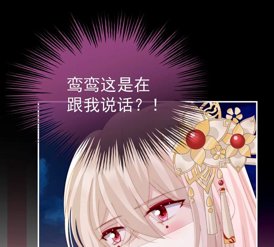 26可怜的小毛团-妻主，请享用-拂晓联盟 & 胡桃文化（第14张）
