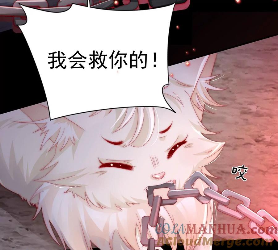 01男人，喂饱我-妻主，请享用-拂晓联盟 & 胡桃文化（第21张）