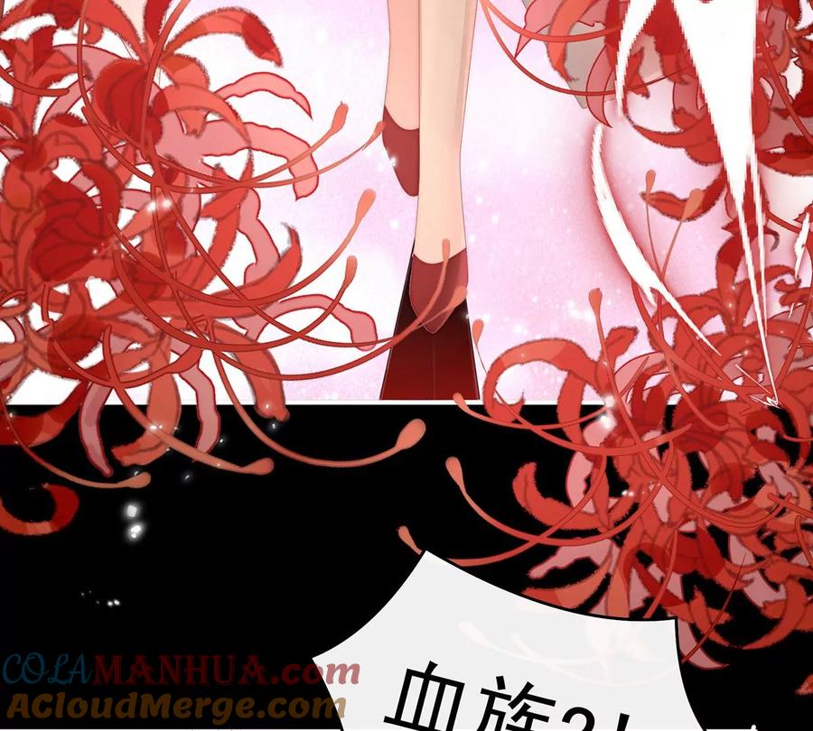 41杀了你这妖女！-妻主，请享用-拂晓联盟 & 胡桃文化（第25张）