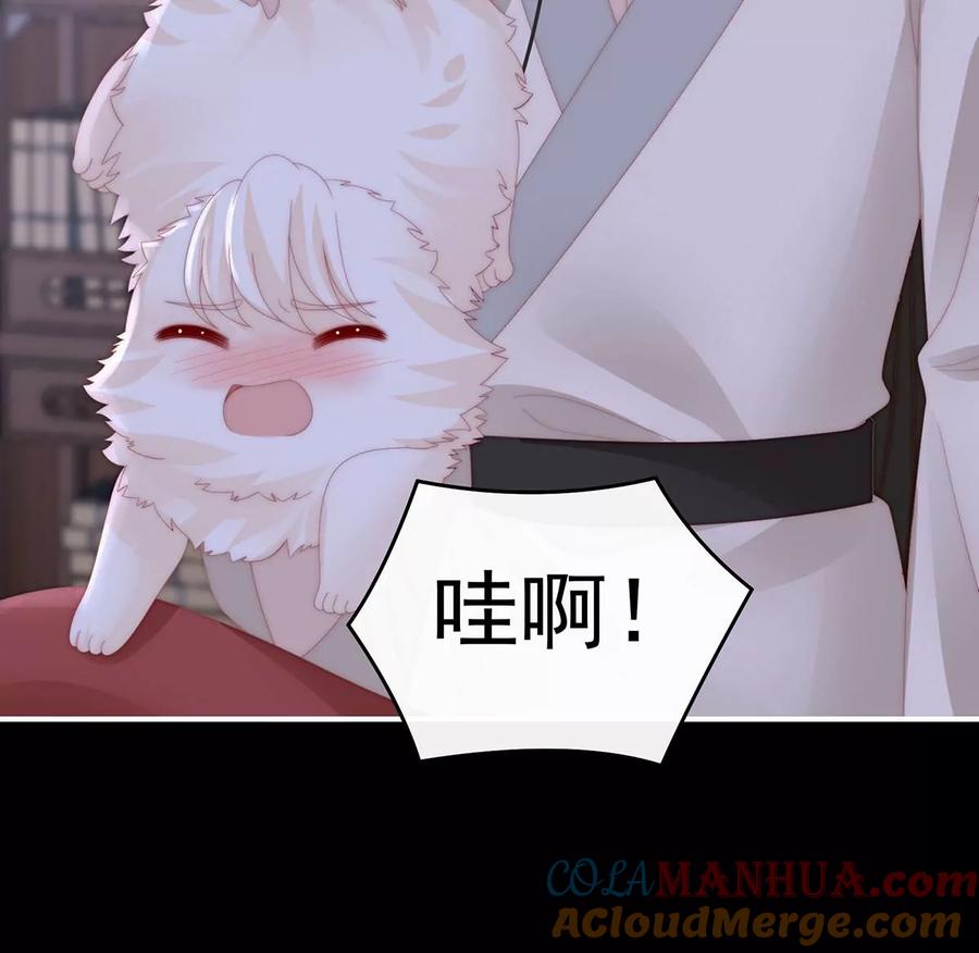 76妻主找上门-妻主，请享用-拂晓联盟 & 胡桃文化（第13张）