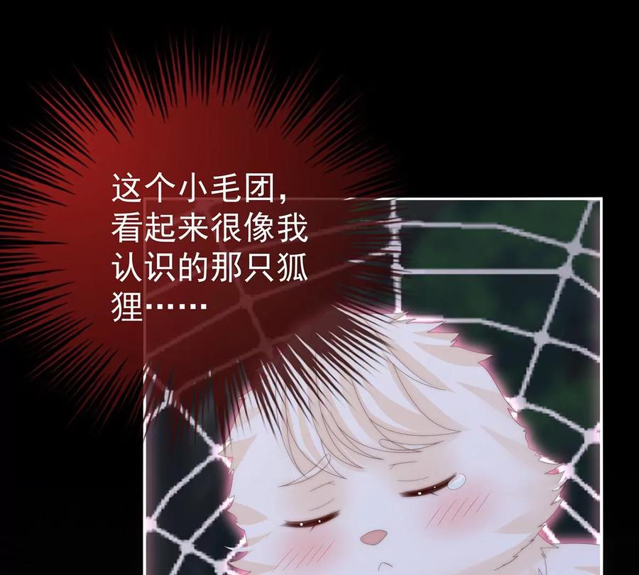 79我是她的夫君-妻主，请享用-拂晓联盟 & 胡桃文化（第6张）