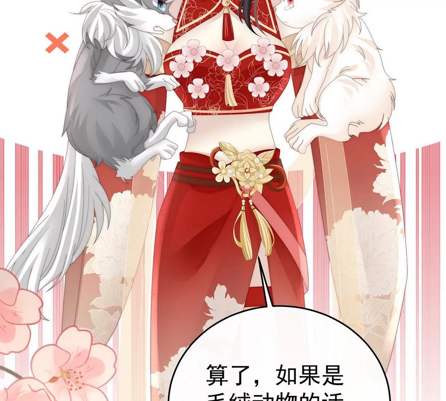 85小动物也争宠？-妻主，请享用-拂晓联盟 & 胡桃文化（第14张）