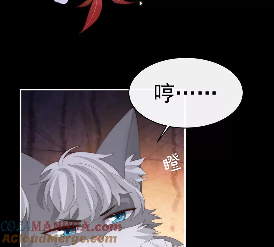 85小动物也争宠？-妻主，请享用-拂晓联盟 & 胡桃文化（第25张）