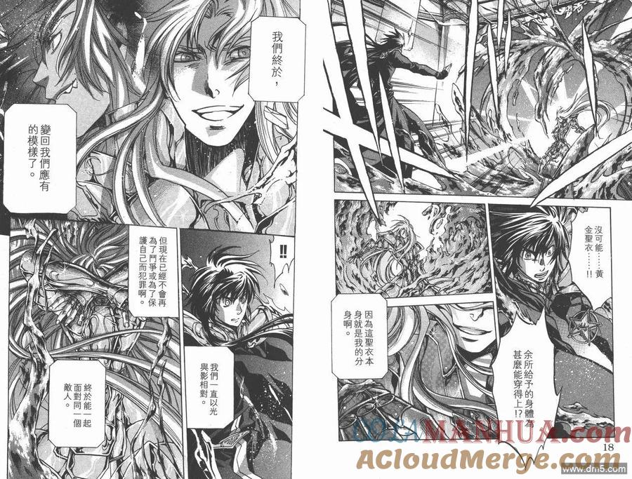 第19卷-圣斗士星矢 冥王神话-手代木史织（第9张）