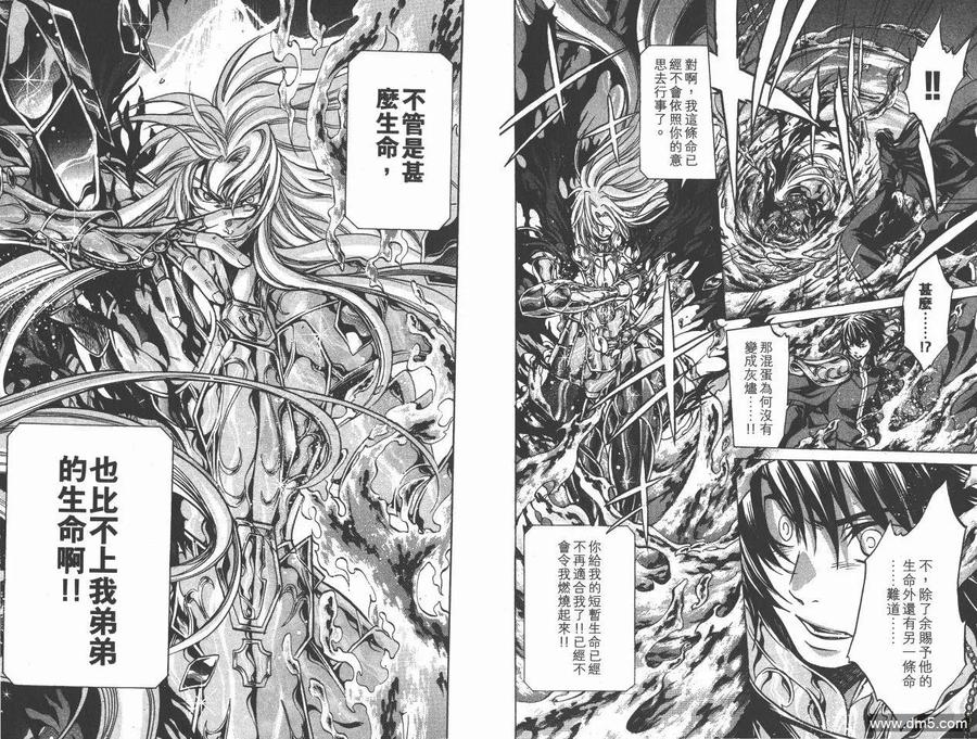 第19卷-圣斗士星矢 冥王神话-手代木史织（第8张）