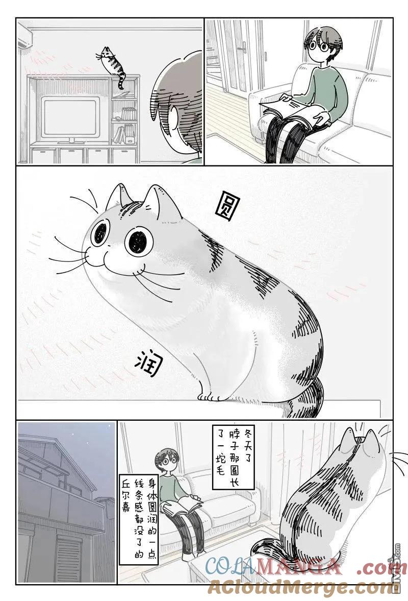 第246话-关于养猫我一直是新手-キュルZ（第1张）