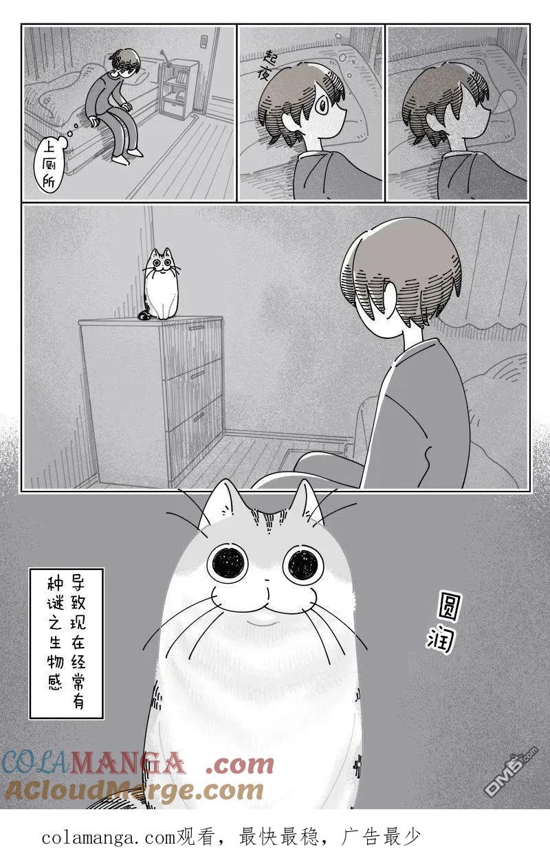 第246话-关于养猫我一直是新手-キュルZ（第2张）