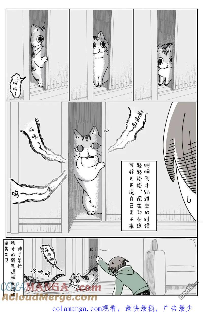 第247话-关于养猫我一直是新手-キュルZ（第1张）