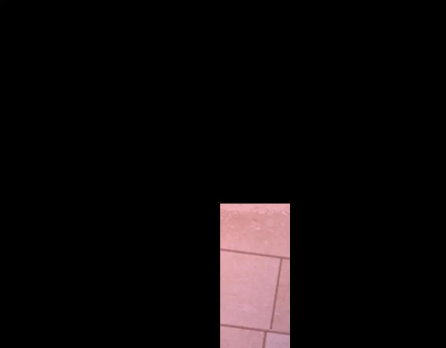 79.jpg