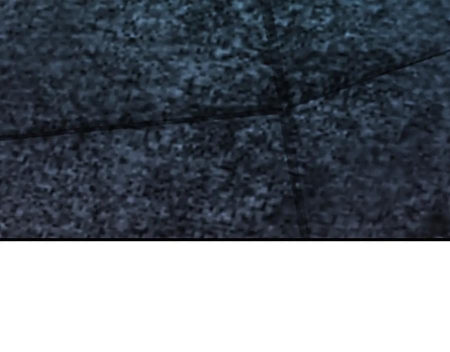 91.jpg