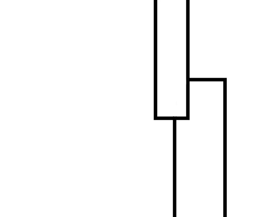 78.jpg