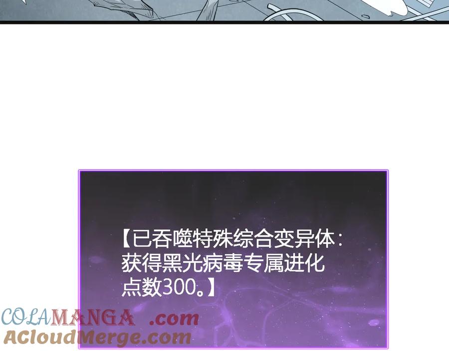 145.jpg