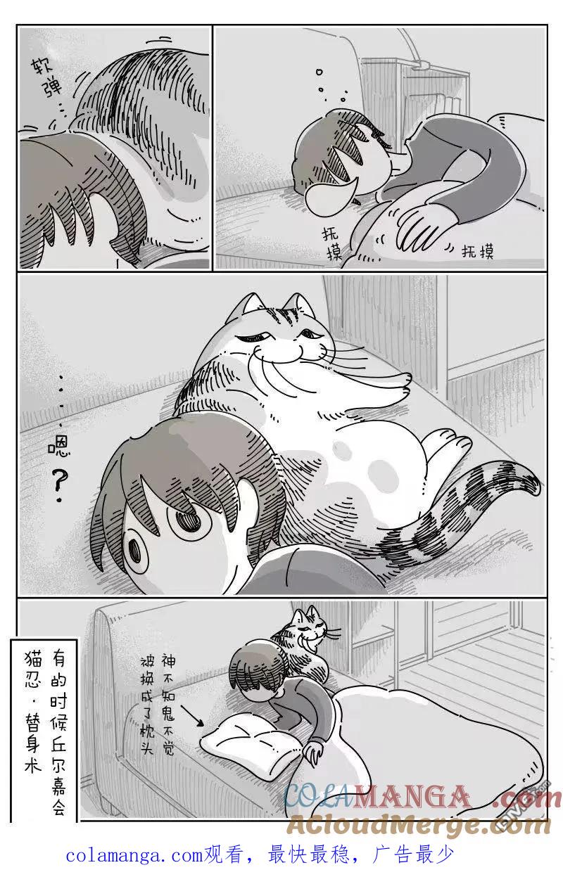 第259话-关于养猫我一直是新手-キュルZ（第3张）