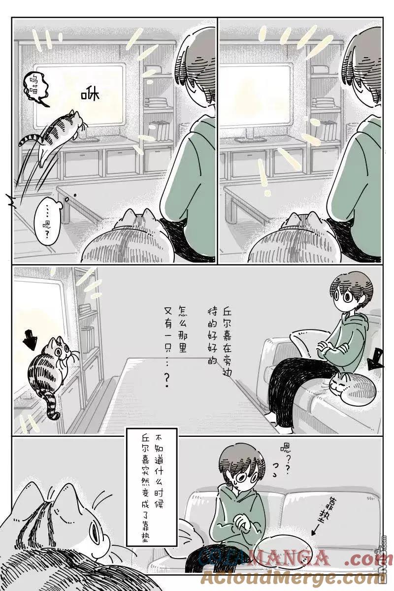 第259话-关于养猫我一直是新手-キュルZ（第1张）