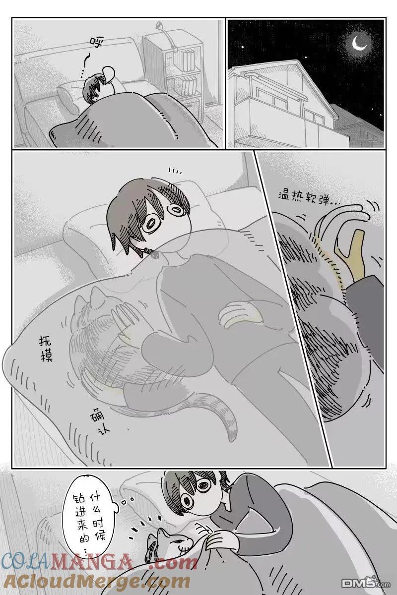 第259话-关于养猫我一直是新手-キュルZ（第2张）