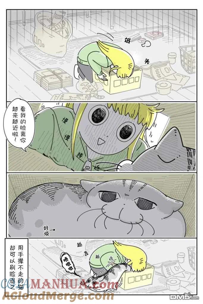 第95话-关于养猫我一直是新手-キュルZ（第2张）