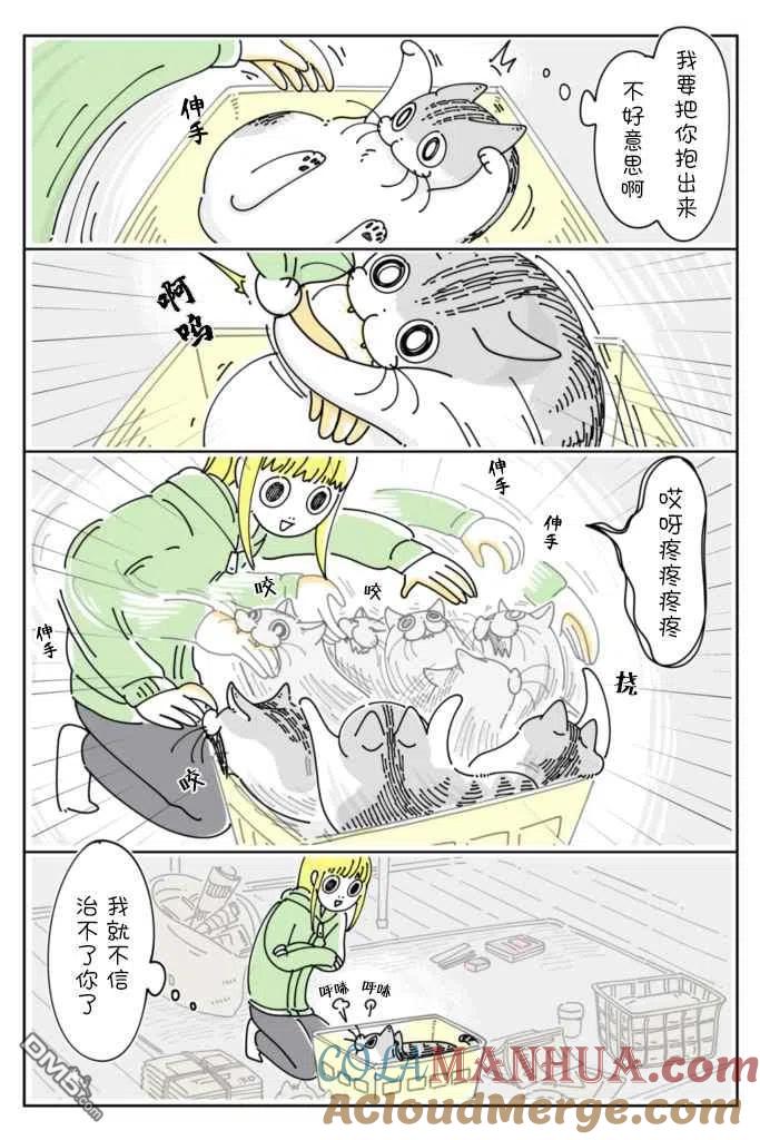 第95话-关于养猫我一直是新手-キュルZ（第1张）