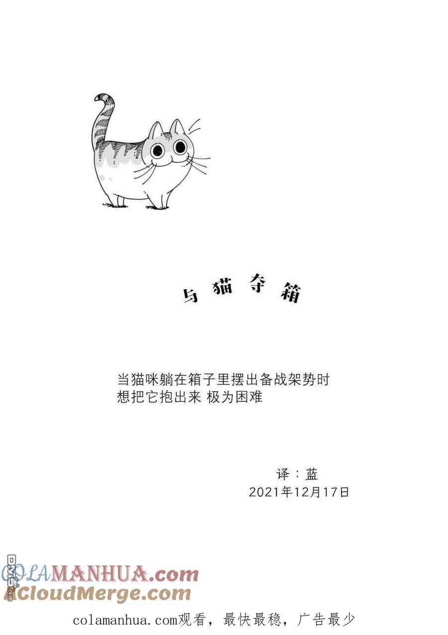 第95话-关于养猫我一直是新手-キュルZ（第3张）
