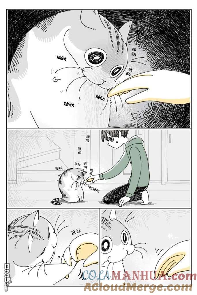 第96话-关于养猫我一直是新手-キュルZ（第1张）