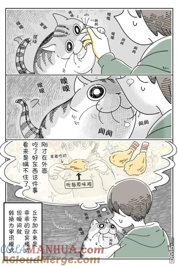 第96话-关于养猫我一直是新手-キュルZ（第2张）