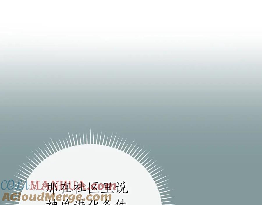 145.jpg