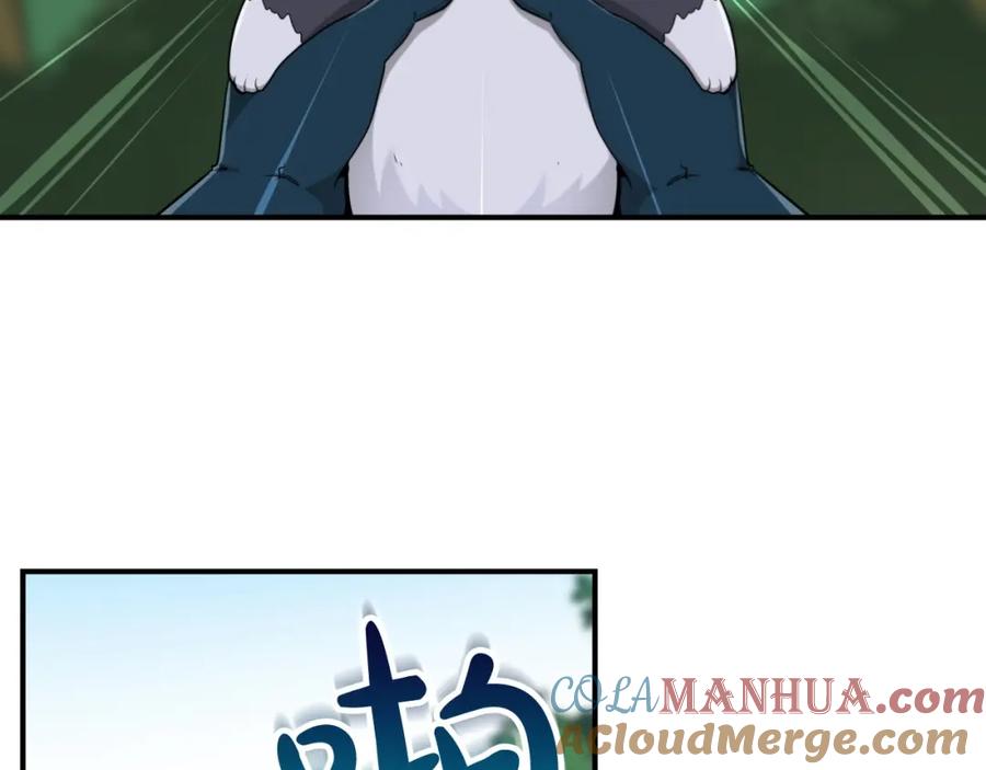 137.jpg