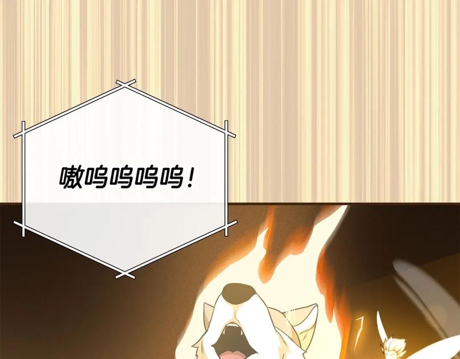 163.jpg