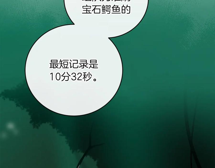 167.jpg