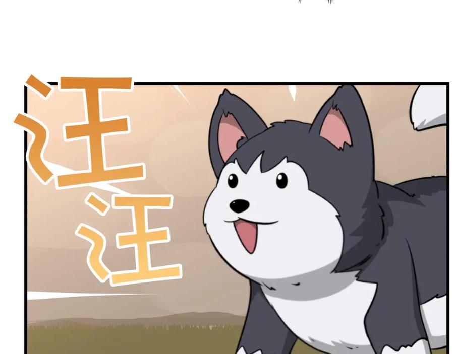 211.jpg