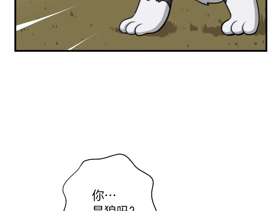212.jpg