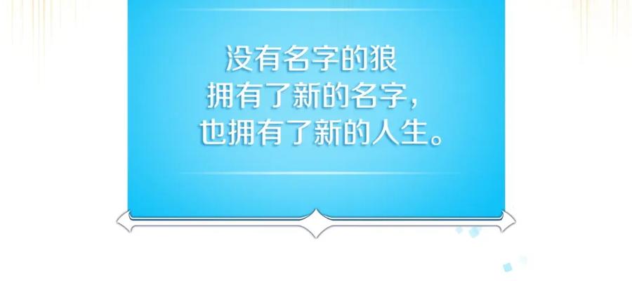 223.jpg