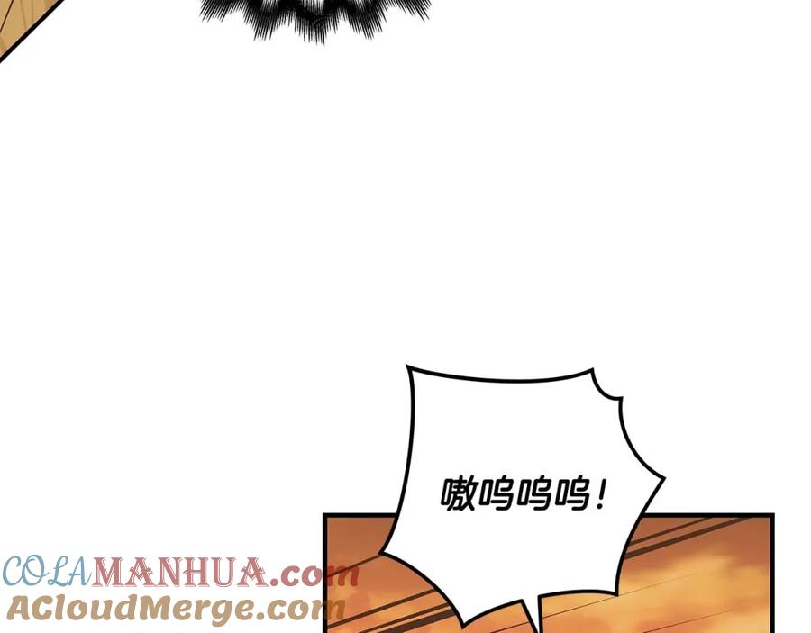 140.jpg