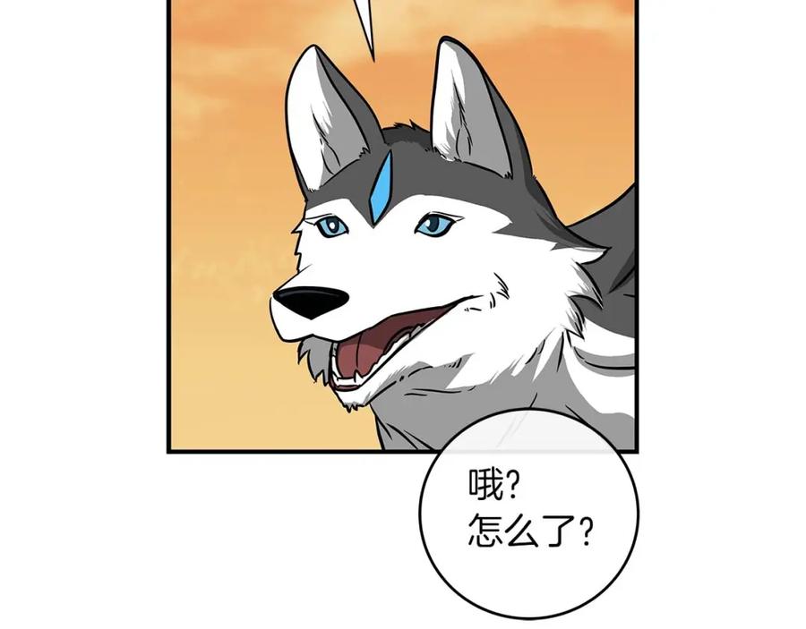 172.jpg
