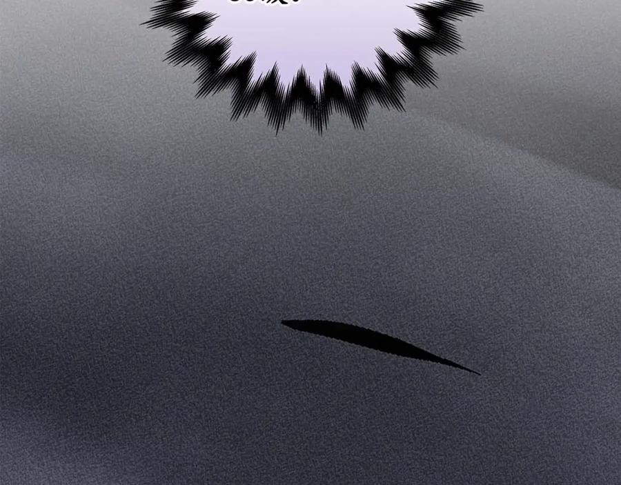 102.jpg