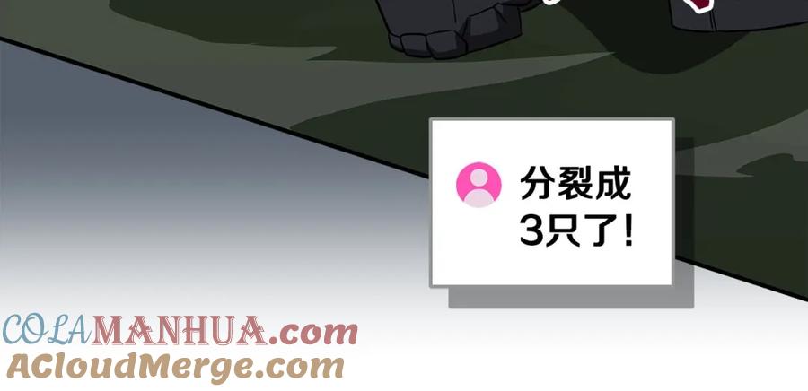 117.jpg