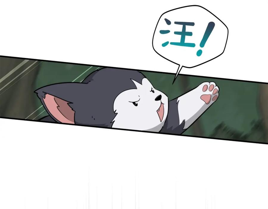 79.jpg