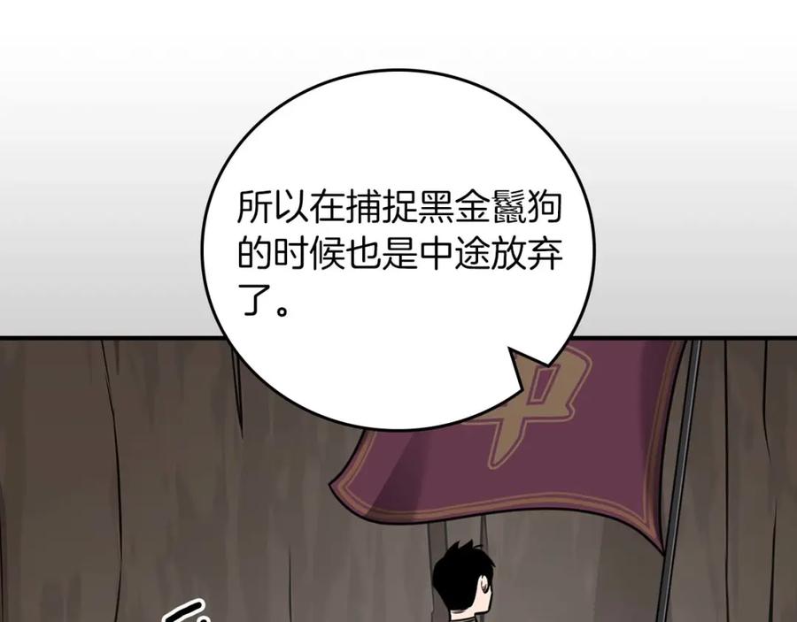 91.jpg