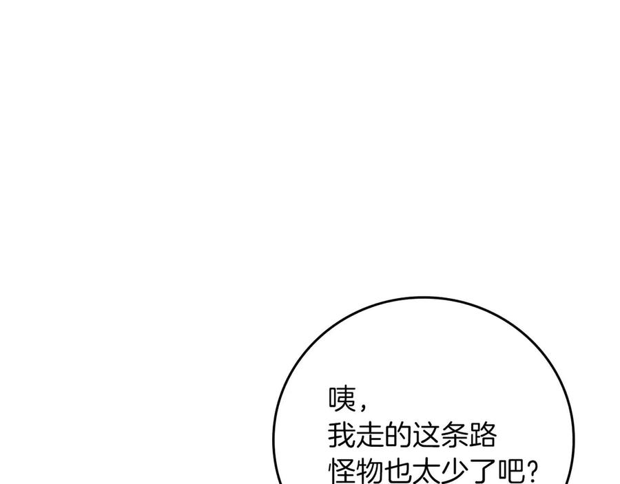 95.jpg