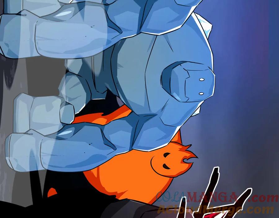 233.jpg