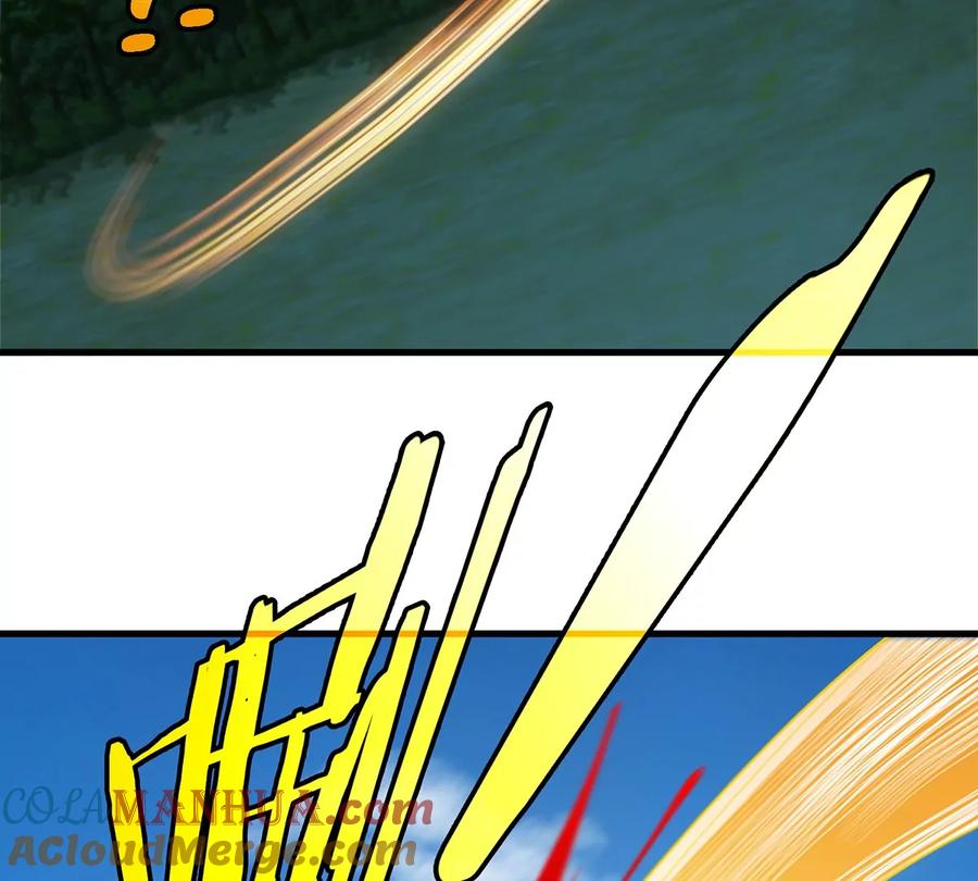 45.jpg