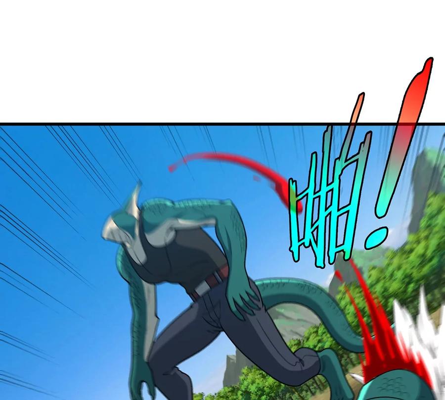 47.jpg
