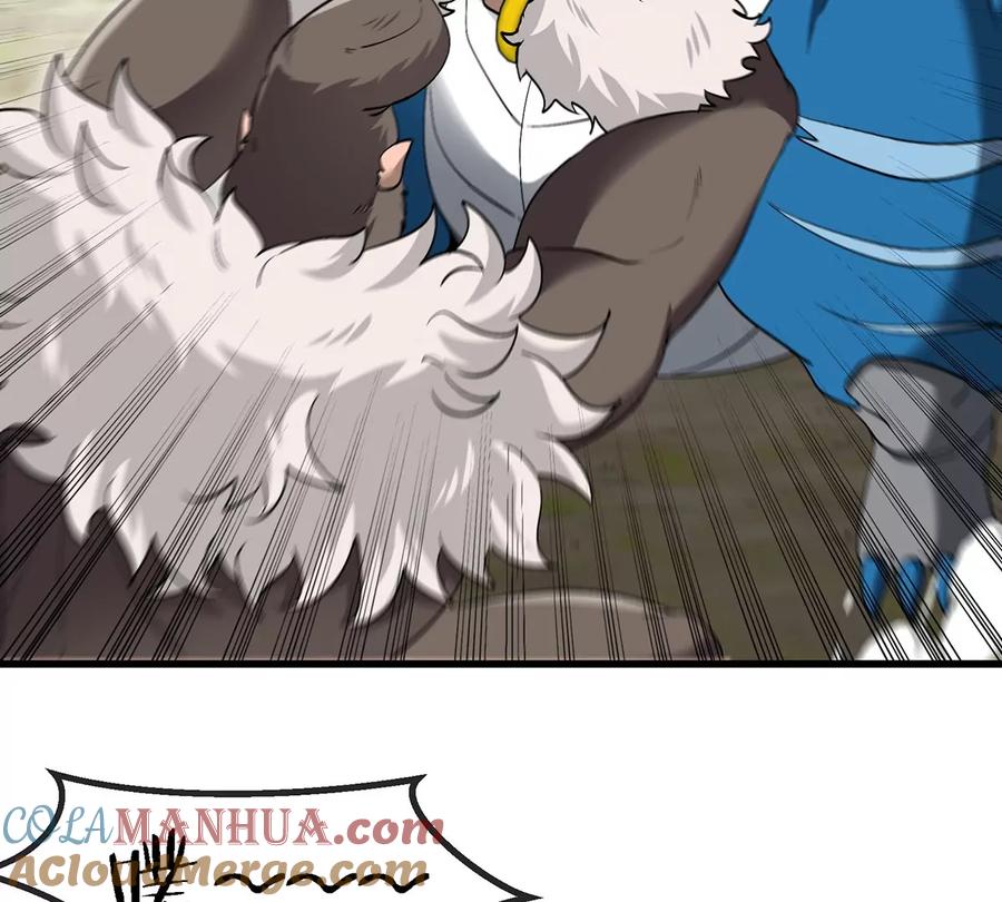 25.jpg