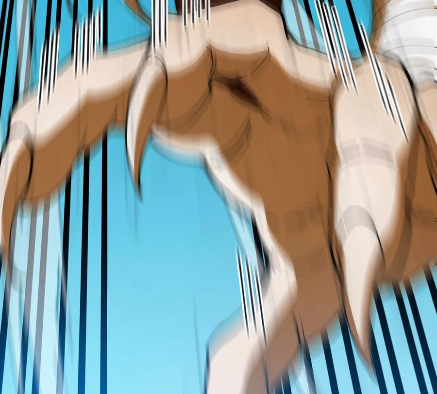 41.jpg