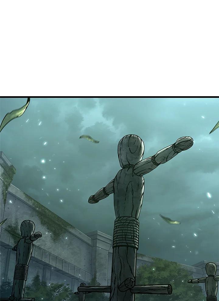 75.jpg