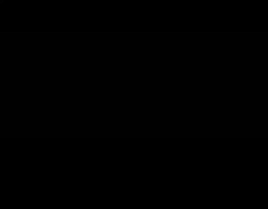171.jpg