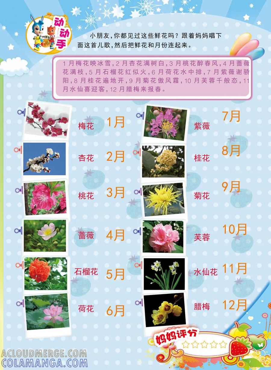 第33话-虹猫蓝兔快乐数学-虹猫蓝兔（第4张）