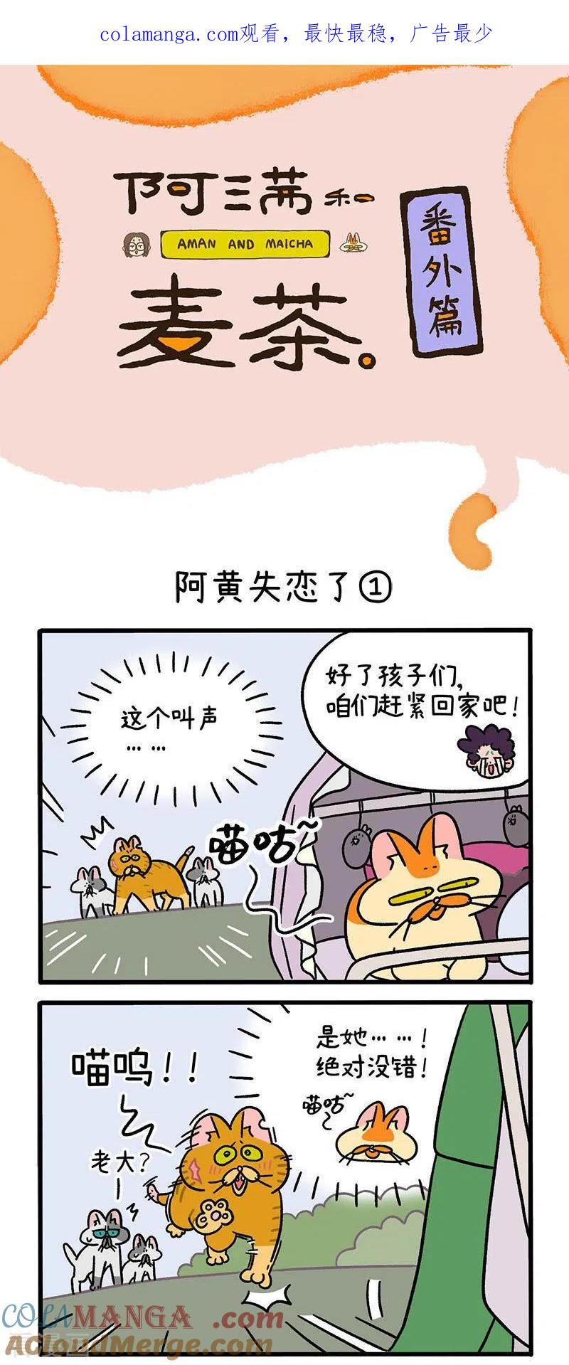 番外6阿黄失恋了-阿满和麦茶-新漫画 日胖大海寺（第1张）