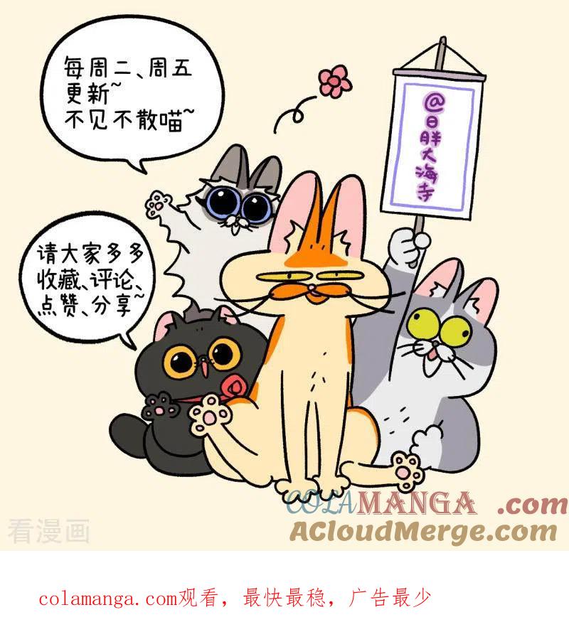 番外6阿黄失恋了-阿满和麦茶-新漫画 日胖大海寺（第7张）